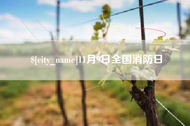 屯昌11月9日全国消防日