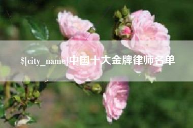 屯昌中国十大金牌律师名单