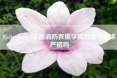 屯昌中国消防救援学院对视力要求严格吗