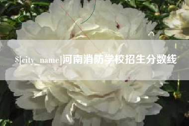 屯昌河南消防学校招生分数线