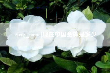 屯昌现在中国金牌是多少