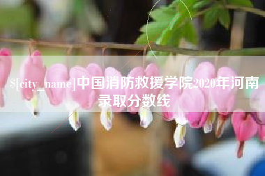屯昌中国消防救援学院2020年河南录取分数线
