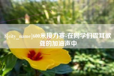 屯昌600米接力赛-在同学们震耳欲聋的加油声中