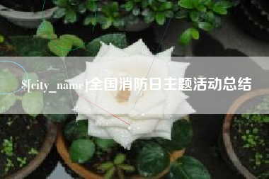 屯昌全国消防日主题活动总结