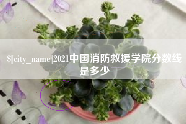 屯昌2021中国消防救援学院分数线是多少