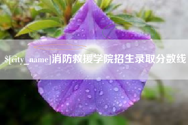 屯昌消防救援学院招生录取分数线