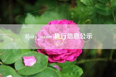 屯昌执行信息公示