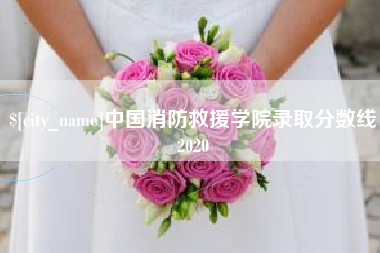 屯昌中国消防救援学院录取分数线2020
