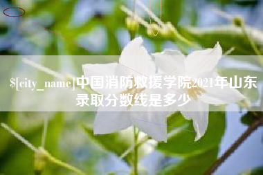 屯昌中国消防救援学院2021年山东录取分数线是多少