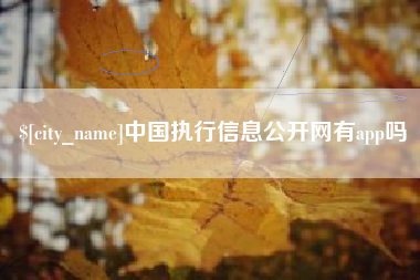 屯昌中国执行信息公开网有app吗