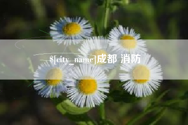 屯昌成都 消防