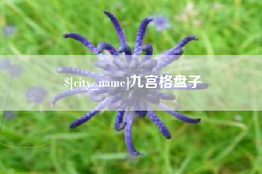 屯昌九宫格盘子