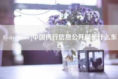 屯昌中国执行信息公开网是什么东西