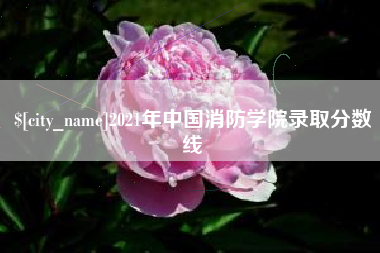 屯昌2021年中国消防学院录取分数线