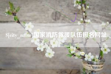 屯昌国家消防救援队伍报名网址