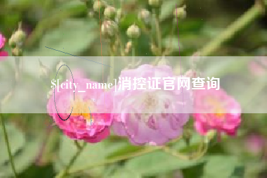 屯昌消控证官网查询