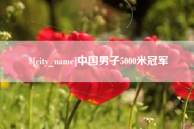 屯昌中国男子5000米冠军