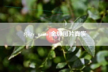 屯昌金牌图片真实