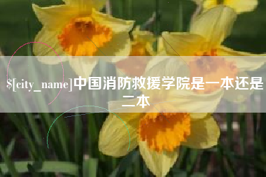 屯昌中国消防救援学院是一本还是二本