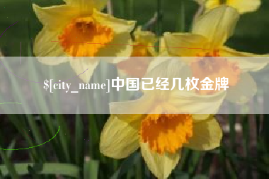 屯昌中国已经几枚金牌