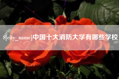 屯昌中国十大消防大学有哪些学校