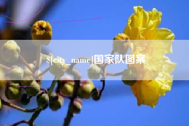 屯昌国家队图案