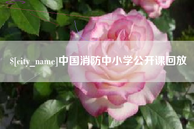 屯昌中国消防中小学公开课回放