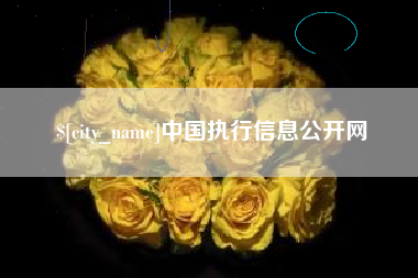 屯昌中国执行信息公开网