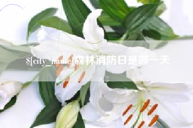 屯昌森林消防日是哪一天
