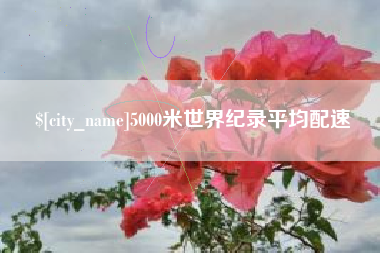 屯昌5000米世界纪录平均配速