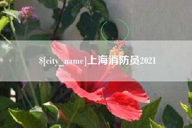 屯昌上海消防员2021