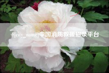 屯昌中国消防救援招录平台