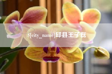 屯昌邱县王子磊