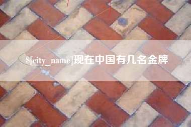 屯昌现在中国有几名金牌