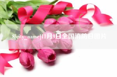 屯昌11月9日全国消防日图片