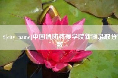 屯昌中国消防救援学院新疆录取分数