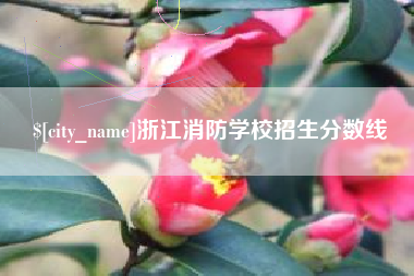 屯昌浙江消防学校招生分数线