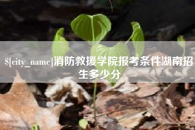 屯昌消防救援学院报考条件湖南招生多少分