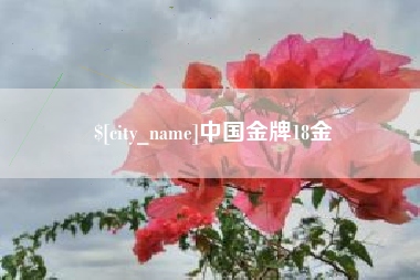 屯昌中国金牌18金