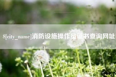 屯昌消防设施操作员证书查询网址