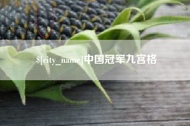 屯昌中国冠军九宫格