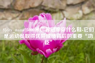 屯昌5000米世界冠军穿什么鞋-它们是运动员取得优异成绩背后的重要“功臣”