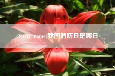 屯昌我国消防日是哪日