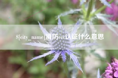 屯昌消防ccc认证什么意思