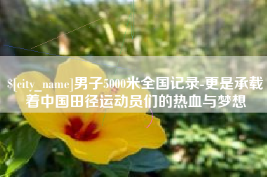 屯昌男子5000米全国记录-更是承载着中国田径运动员们的热血与梦想