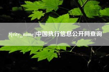 屯昌中国执行信息公开网查询