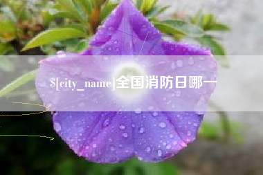 屯昌全国消防日哪一