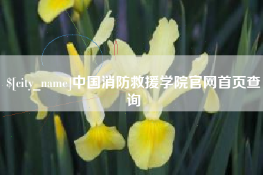 屯昌中国消防救援学院官网首页查询