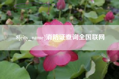 屯昌消防证查询全国联网
