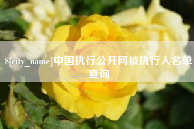 屯昌中国执行公开网被执行人名单查询